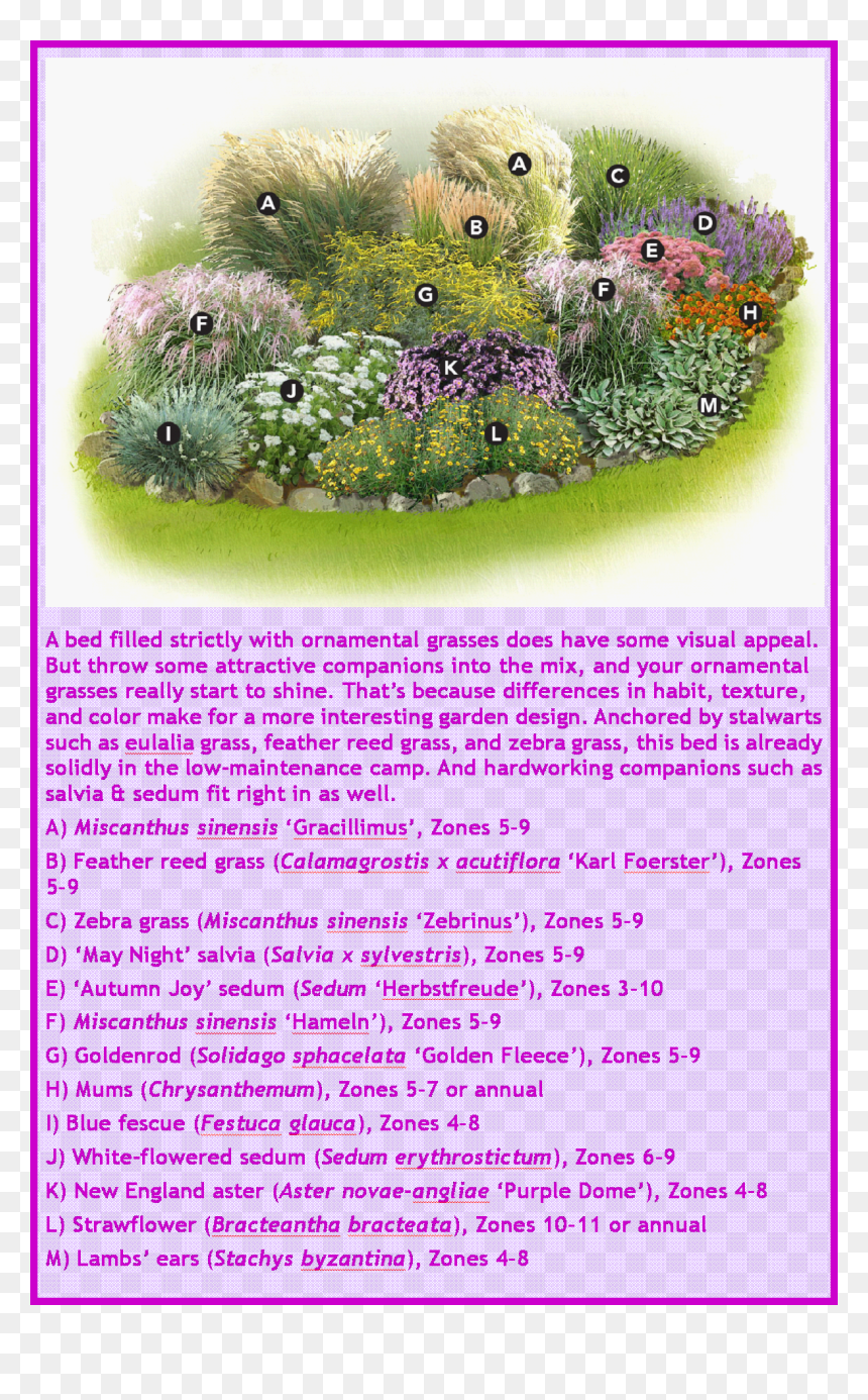 Ornamental Grasses Landscaping Ideas, HD Png Download - ornamental grass png