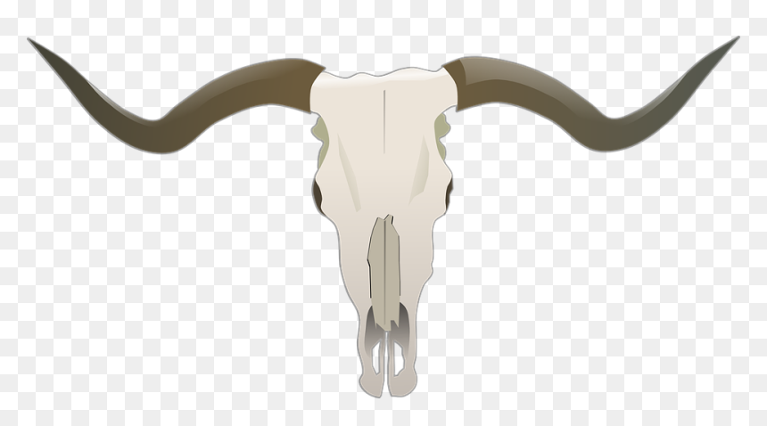 Longhorn Skull, HD Png Download - horns png