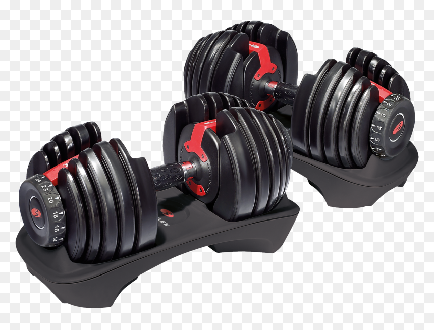 Bowflex 552, HD Png Download - dumbbell png