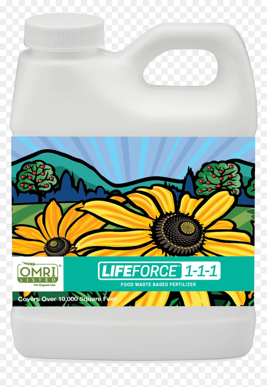Bottle, HD Png Download - ornamental grass png