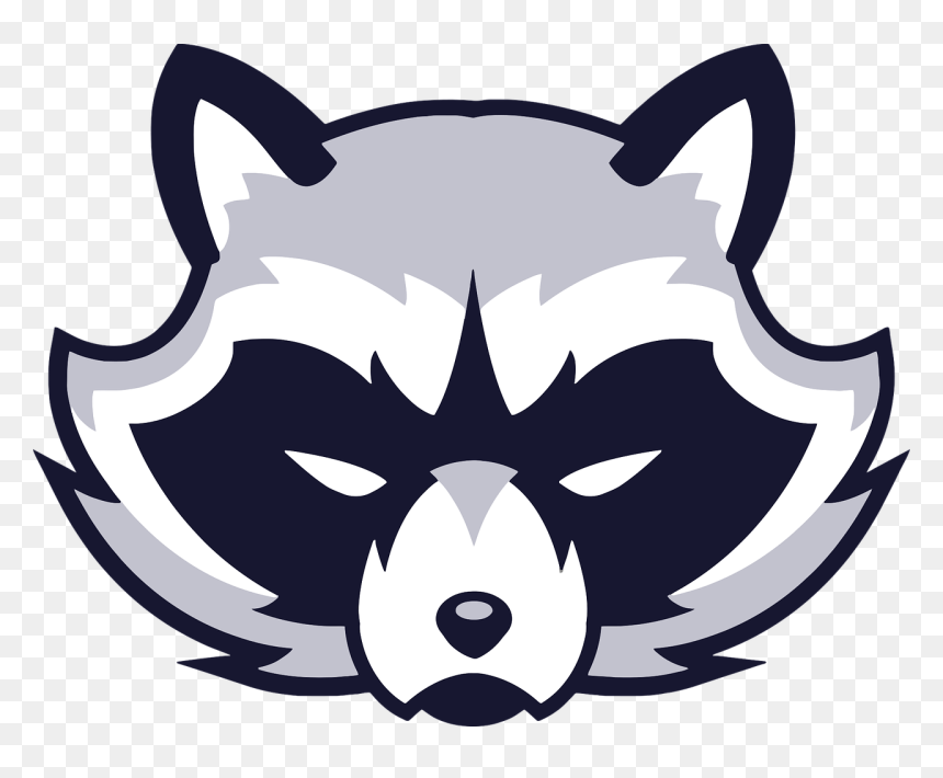 Raccoon Face Vector, HD Png Download - raccoon png