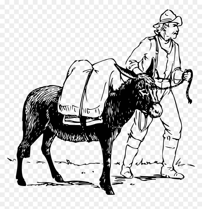 Donkey And Man Drawing, HD Png Download - donkey png