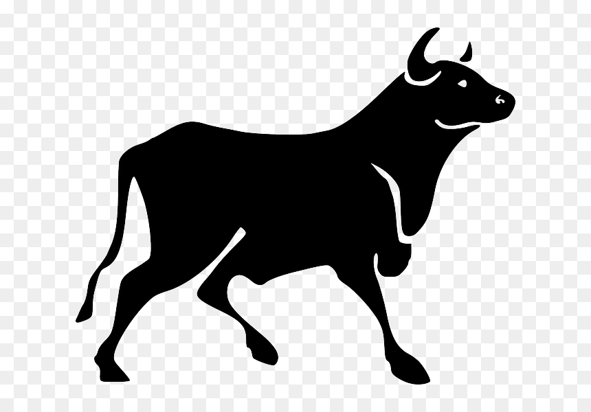 Clipart Of A Bull, HD Png Download - bull png
