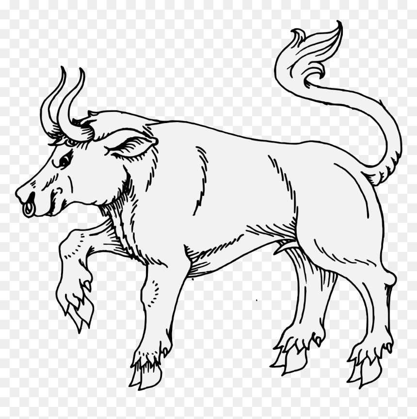 Line Art, HD Png Download - bull png