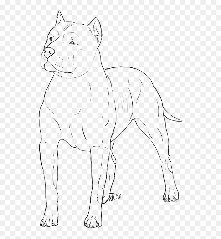 Line Art, HD Png Download - bull png
