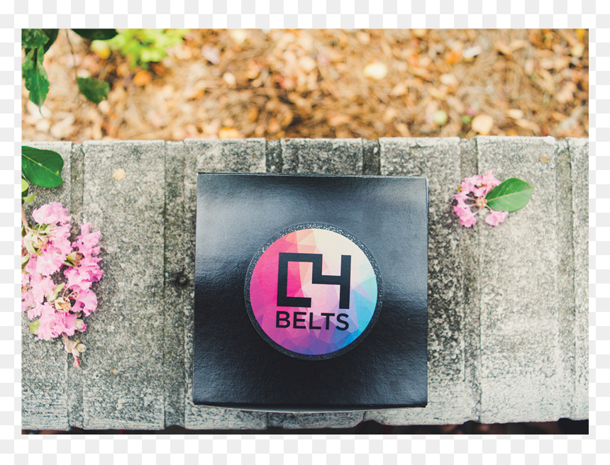 Hydrangea, HD Png Download - pink subscribe png