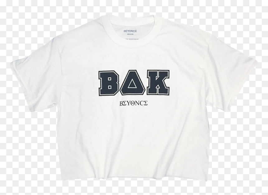 にゃんこ大戦争 I さばtシャツ, HD Png Download - beyonce logo png