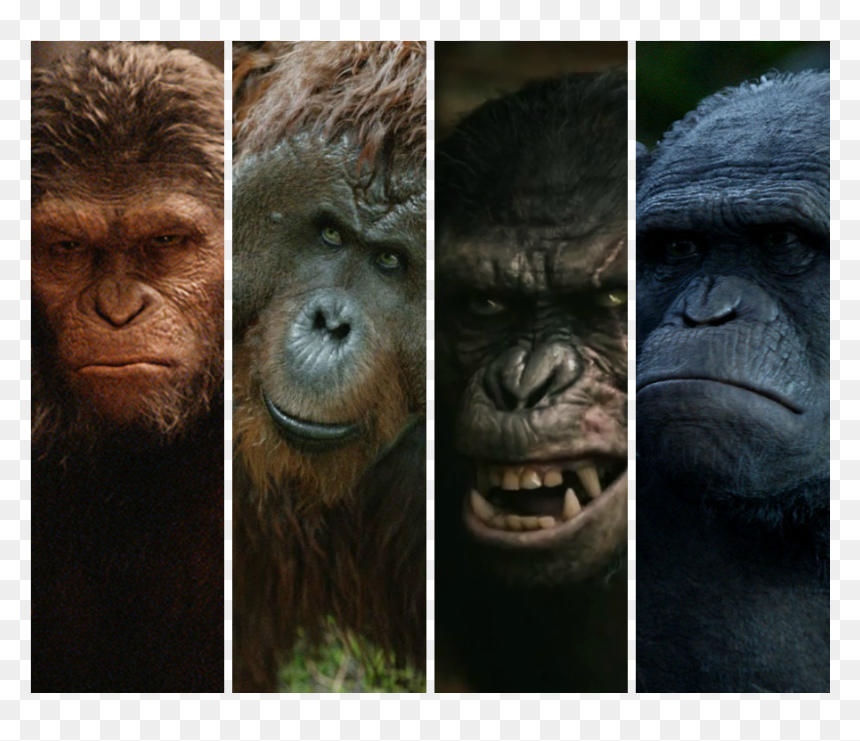 Monkey, HD Png Download - war for the planet of the apes logo png