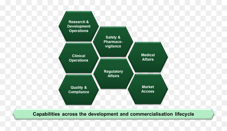 Competency Framework Template, HD Png Download - logo placeholder png