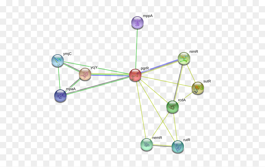 Pgrr Protein - Circle, HD Png Download - mpaa png