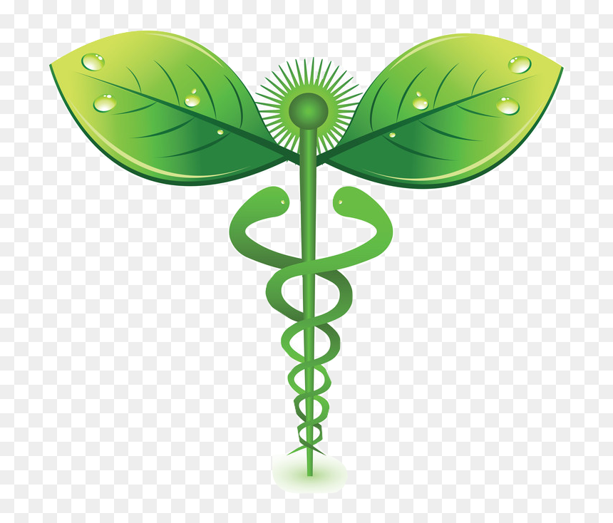 Organica Medica, HD Png Download - kennys png