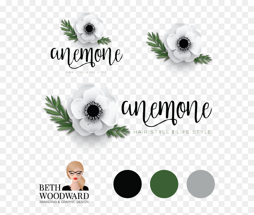 Anemone, HD Png Download - packages png