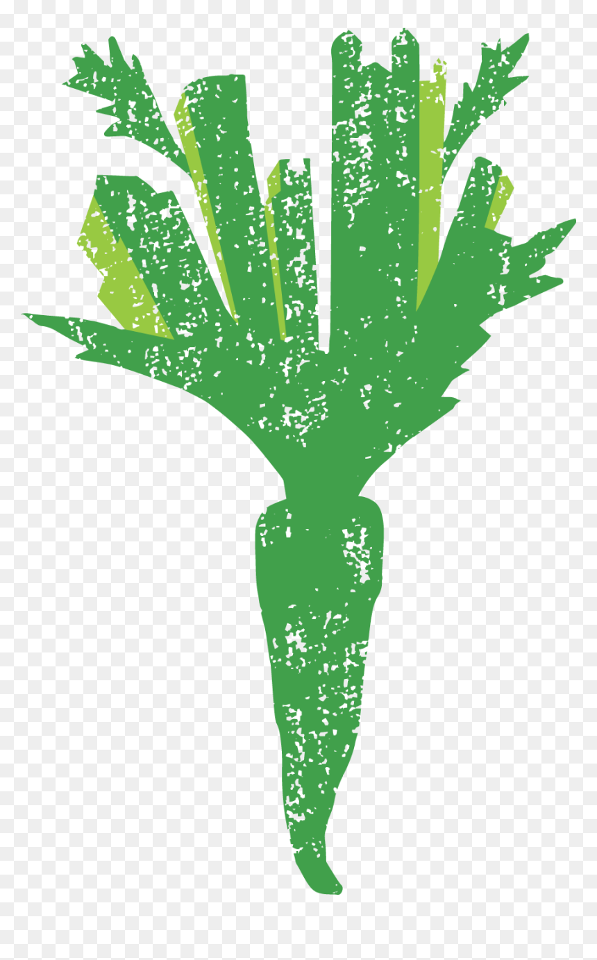 Pittsburgh Food Policy Council, HD Png Download - policy png