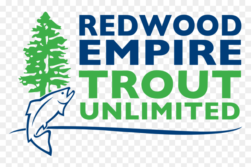 Redwood Png, Transparent Png - redwood png