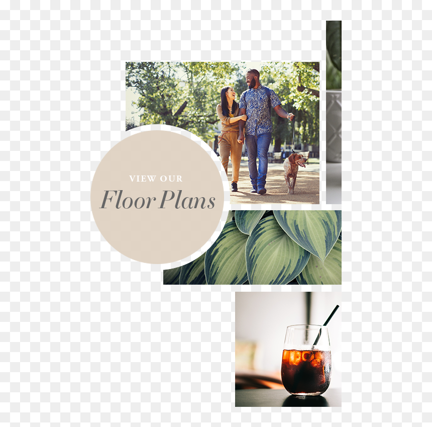 View Floor Plans At The Barrett In Marietta, Georgia - Cuba Libre, HD Png Download - barrett png