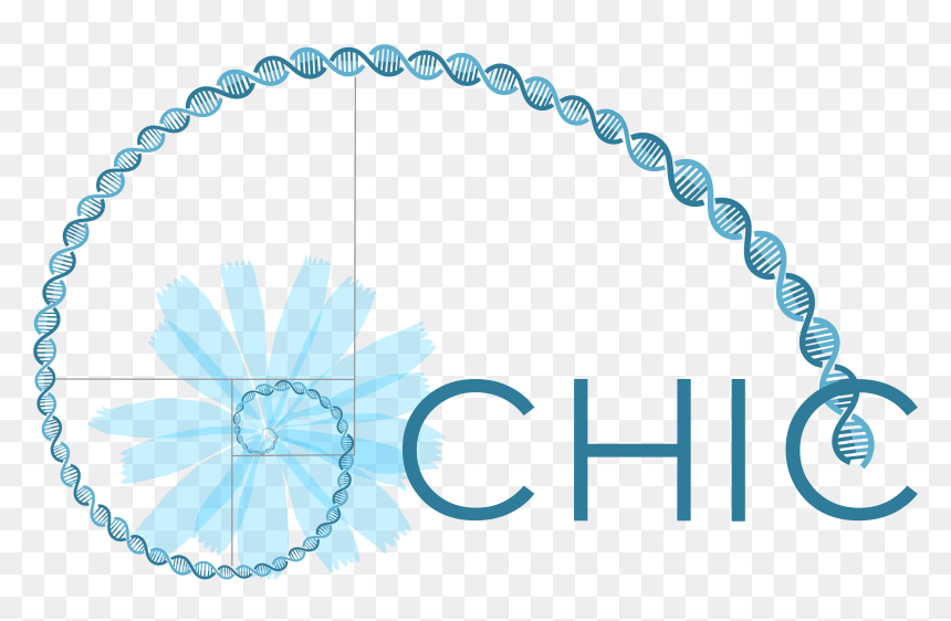 Logodef, HD Png Download - chic png