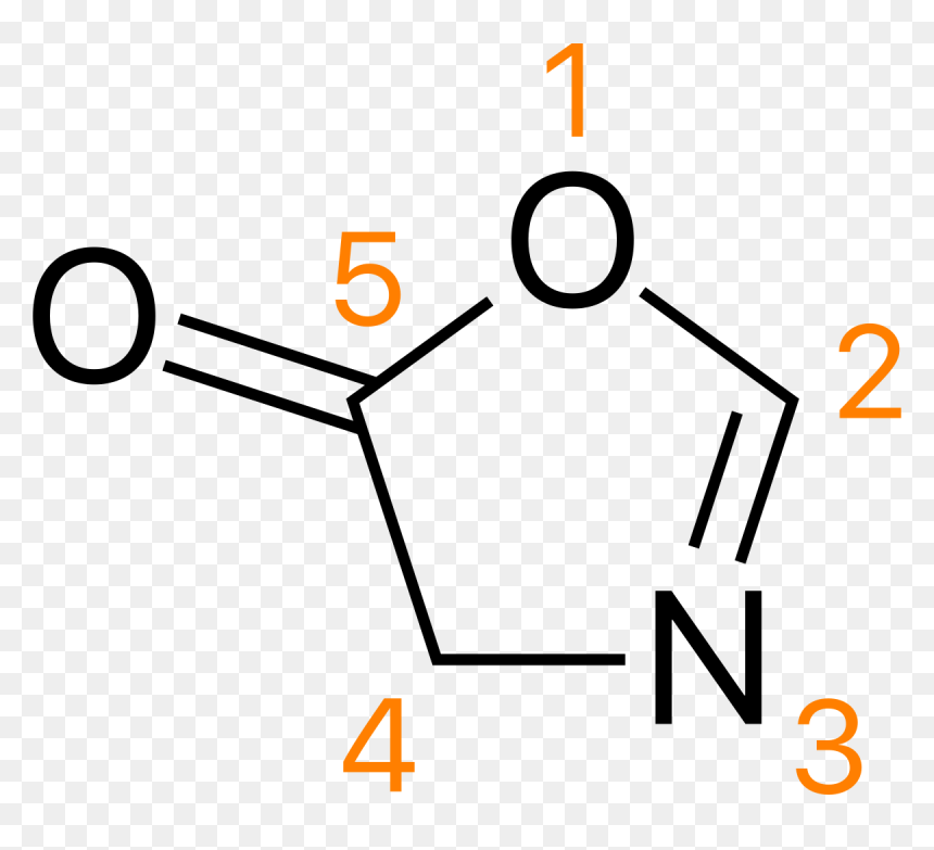 N Methylmaleimide, HD Png Download - 4h png