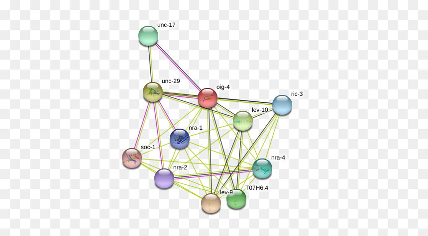 Oig-4 Protein - Circle, HD Png Download - nra png