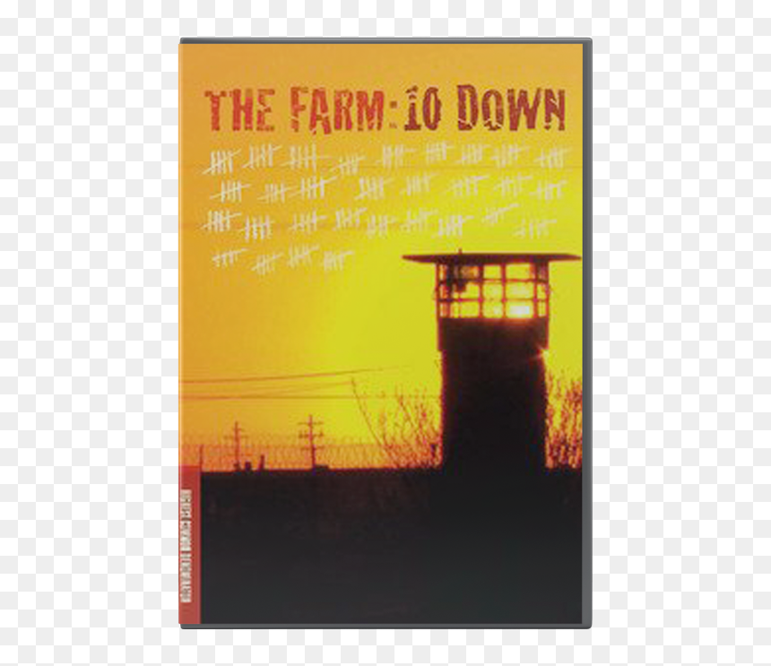 The Farm Ten Down - Flyer, HD Png Download - emmy png