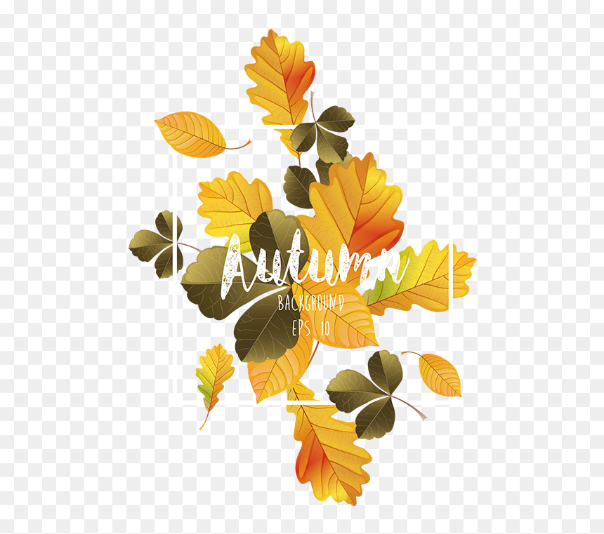 Design, HD Png Download - leaves branch png