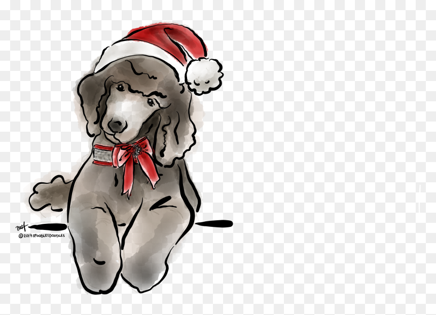 Mini Poodles, Cute Little Animals, Fur Babies, Dog - Poodle, HD Png Download - cute dog clipart png