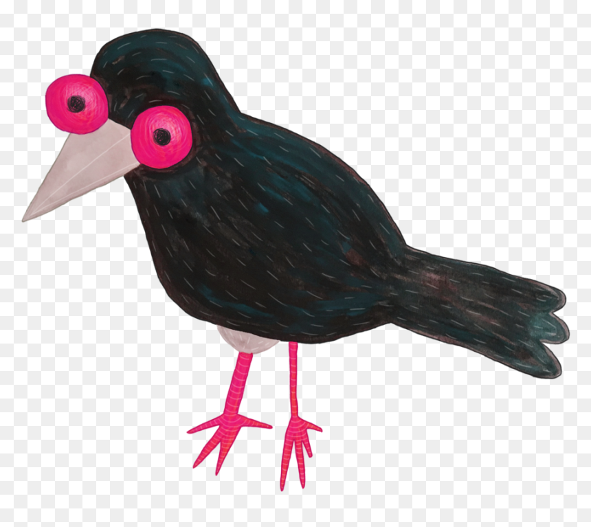 Rook, HD Png Download - birds for photoshop png