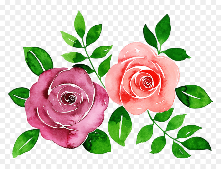 Garden Roses, HD Png Download - pink roses flowers bouquet png