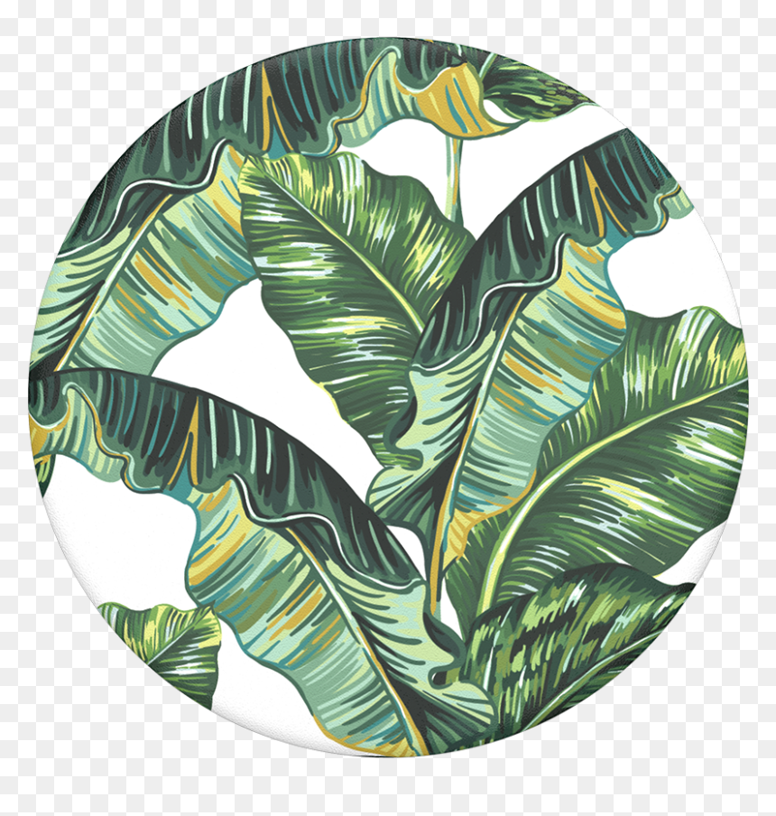 Banana Republican Popsocket, HD Png Download - full banana leaf png hd