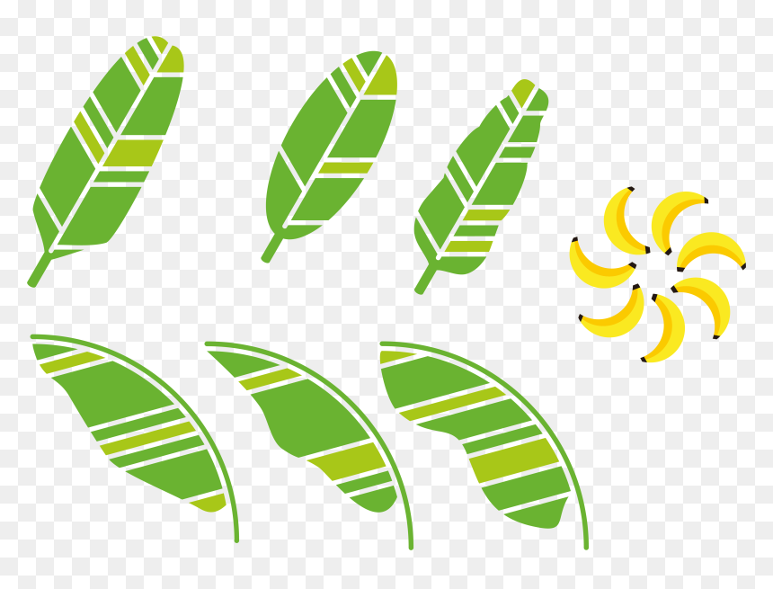 Clip Art Banana Leaves Clip Art - Banana Leaf Image Vector, HD Png Download - full banana leaf png hd