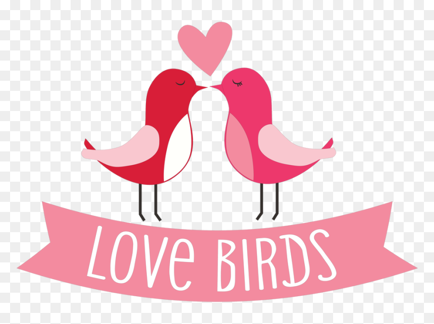 Transparent Love Birds Png - Olamide Glo, Png Download - birds png file