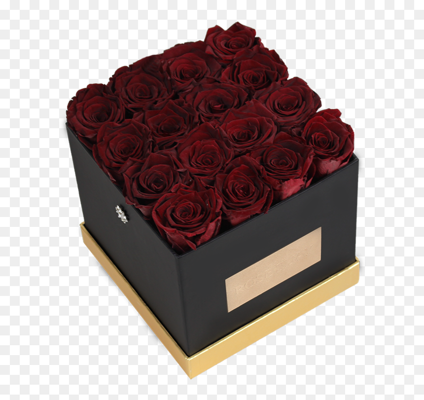 Garden Roses, HD Png Download - real flowers png images