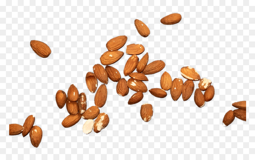 Almond, HD Png Download - one almond png