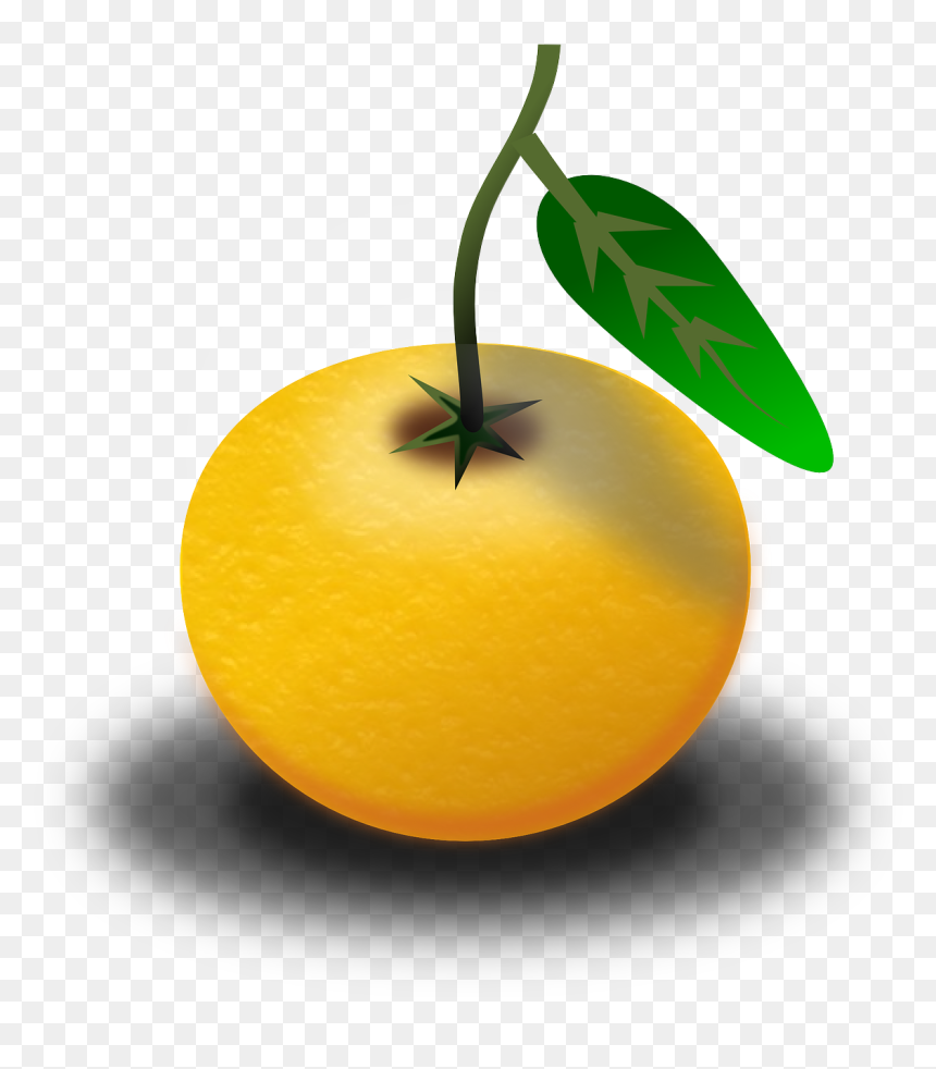 Clipart Of Pomelo, HD Png Download - fruit juices png
