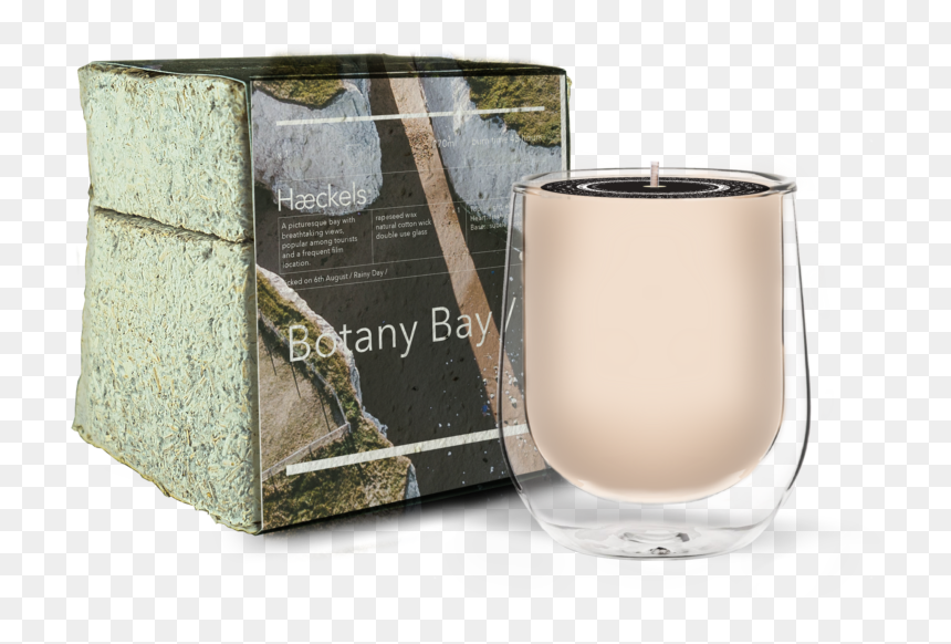 Haeckels Candle, HD Png Download - 1st candle png