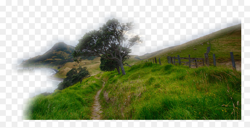 Your Father Is Pleased To Give You, HD Png Download - landscape grass png