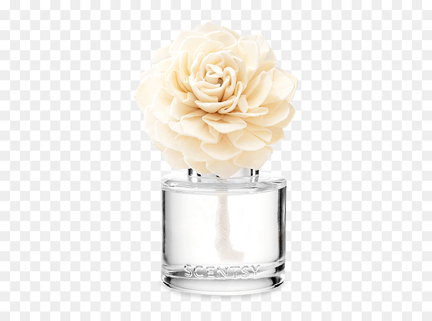 Scentsy Fragrance Flower, HD Png Download - flowers rain png