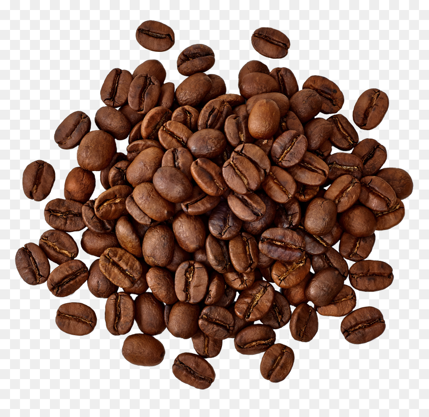 Middlebury Food Co-op, HD Png Download - coffee seed png