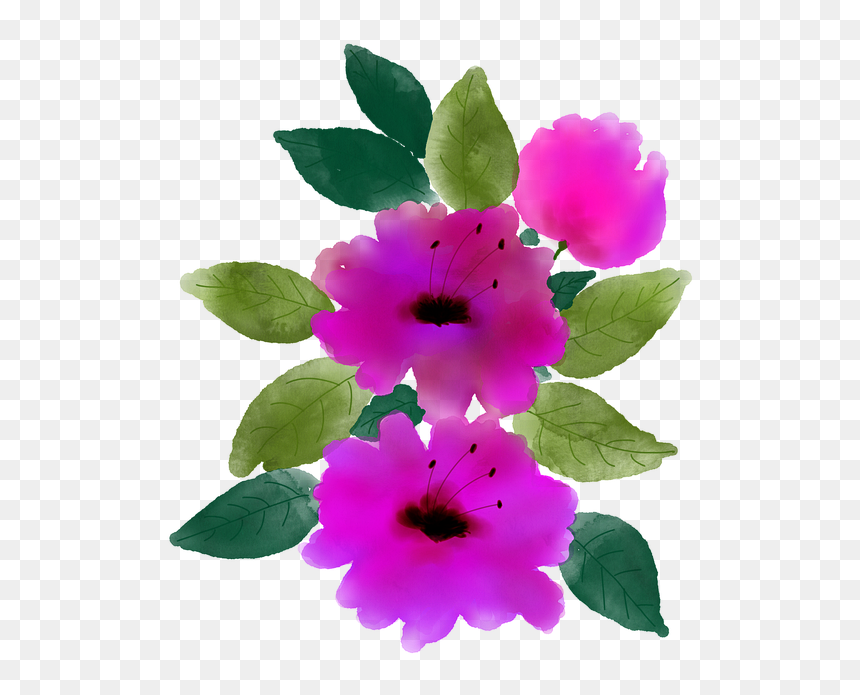 Watercolour Flowers, Watercolor Flower, Watercolor - Rosa Rubiginosa, HD Png Download - flowers rain png