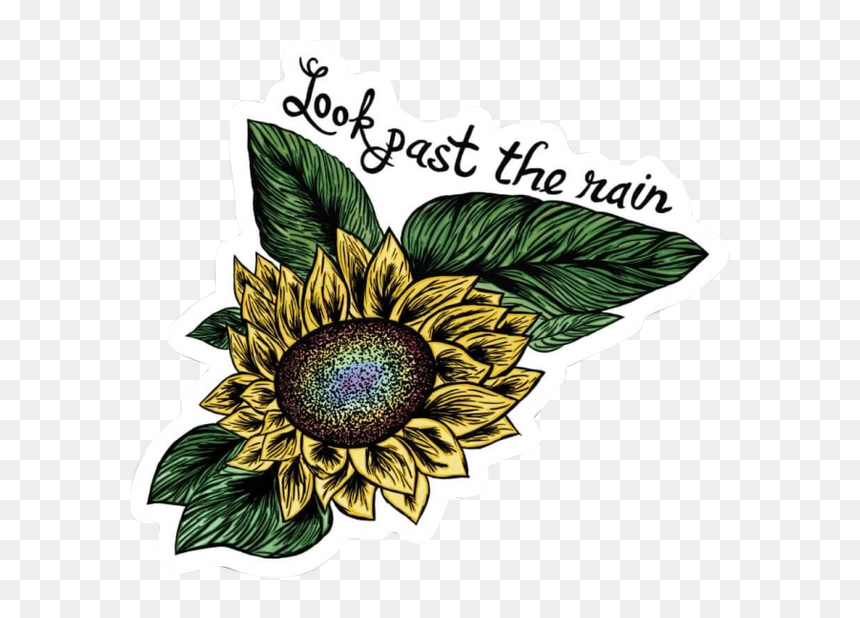 Look Past The Rain Sticker - Sunflower, HD Png Download - flowers rain png