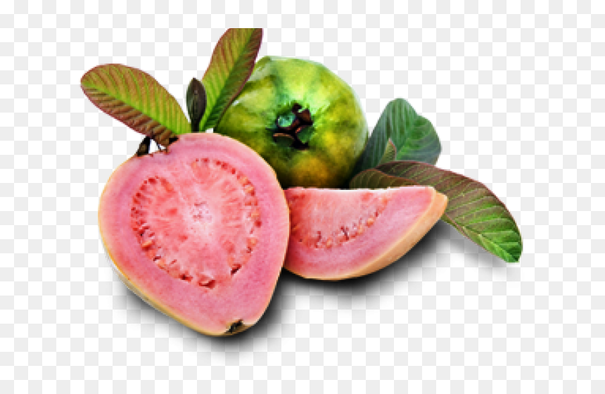 Guava Png - Guava, Transparent Png - guava fruit png