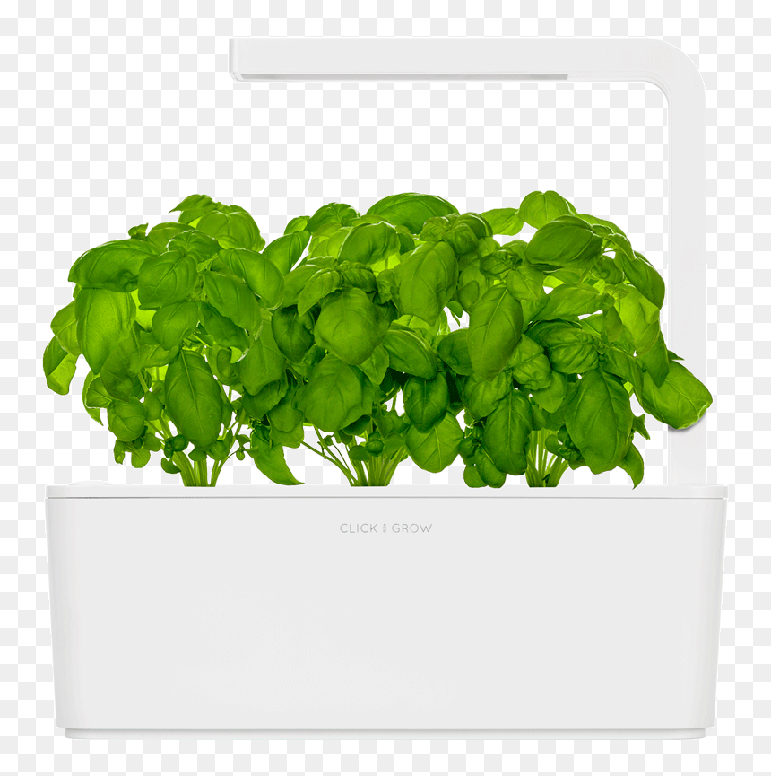 Smart Garden 3 Beige, HD Png Download - wall hanging plants png