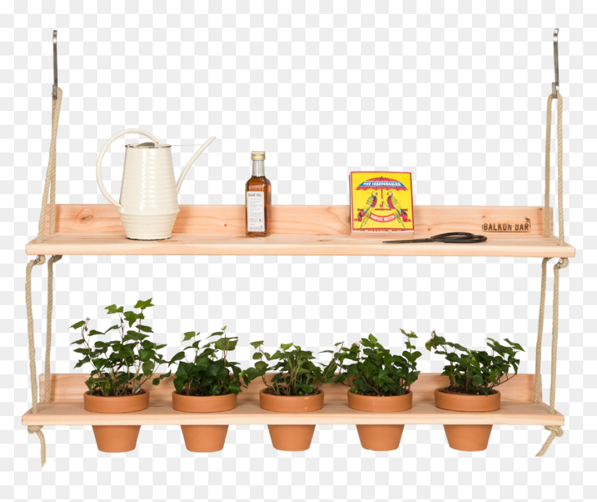 Shelf, HD Png Download - wall hanging plants png