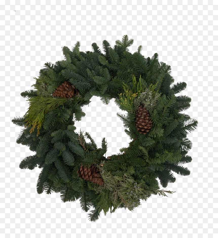 Wreath, HD Png Download - wall hanging plants png
