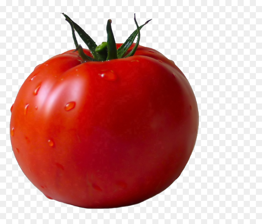 Tomato Transparent Png, Png Download - tomato.png