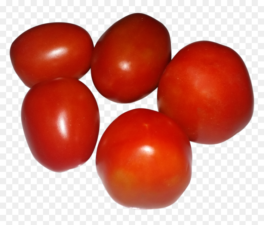 Plum Tomato, HD Png Download - tomato.png