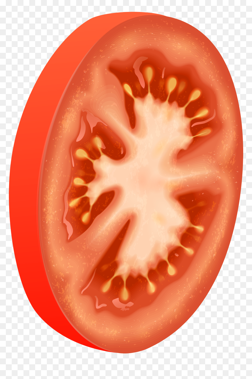 Tomato Png Clip Art - Tomato Circle, Transparent Png - tomato.png