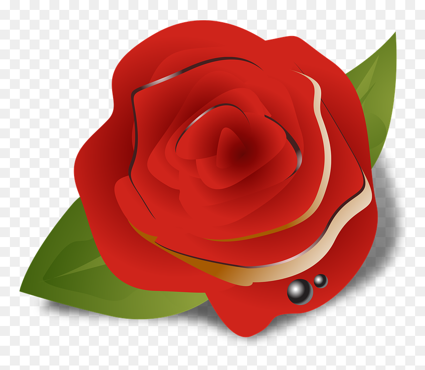 Flower, Rose, Red, Ghulab, Colour - Garden Roses, HD Png Download - red colour png