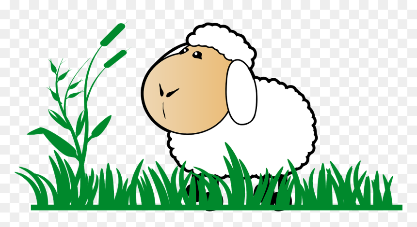 Grass, Sheep, Stand, Watch, Cartoon, Green, White - Clipart Sheep Png, Transparent Png - cartoon grass and flowers png