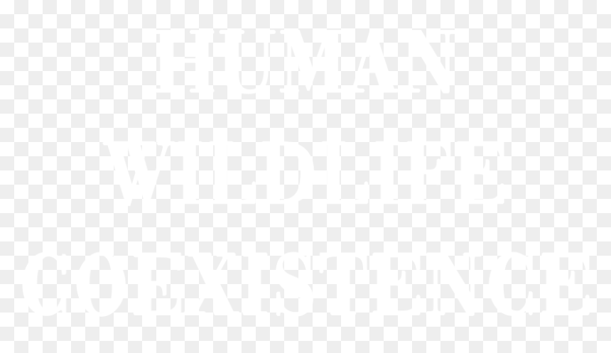 Dont Blame The Victim, HD Png Download - human images png