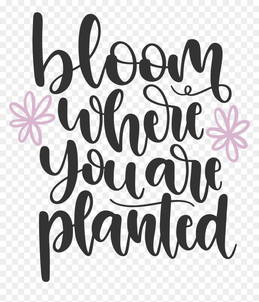Calligraphy, HD Png Download - quotes about life png